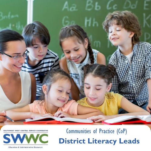 District Literacy Lead